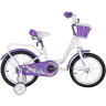 Детский велосипед TECH TEAM FIREBIRD 18